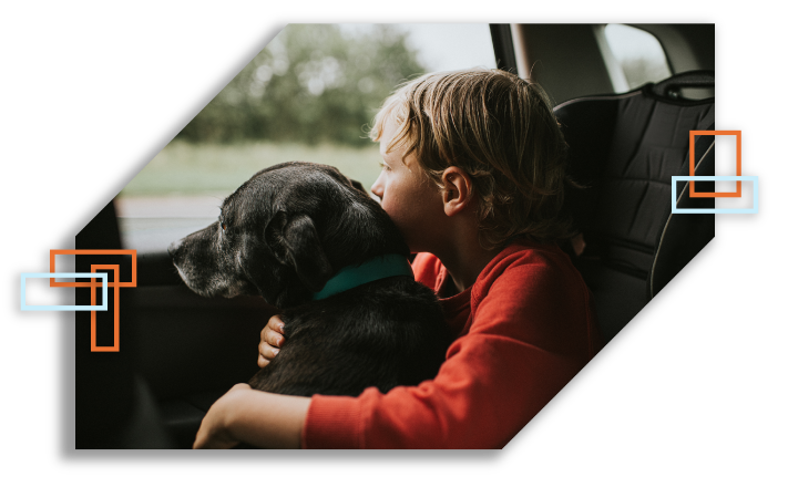 Bold Holding Dog in Car